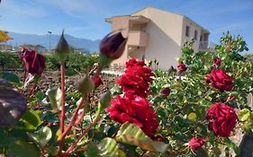 Apartman Ana, Metkovic